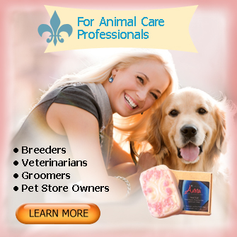 animal care affiliate